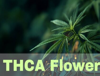 THCa Flower