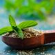 Herbal treatments