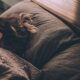 Longevity and Anti-Aging