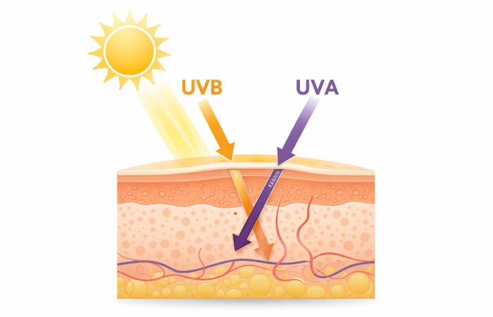 Diagram showing how SPF 50 sunscreen blocks UVB rays and reduces UVA penetration on skin