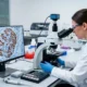 Scientist analyzing immunohistochemistry (IHC) tissue on monitor and microscope.