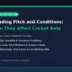 Guide on reading pitch and conditions for cricket betting
