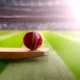 head to head cricket